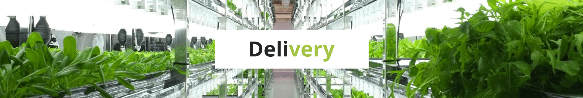 Header_Delivery